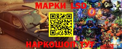 Альфа ПВП Новодвинск