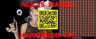 Альфа ПВП Новодвинск