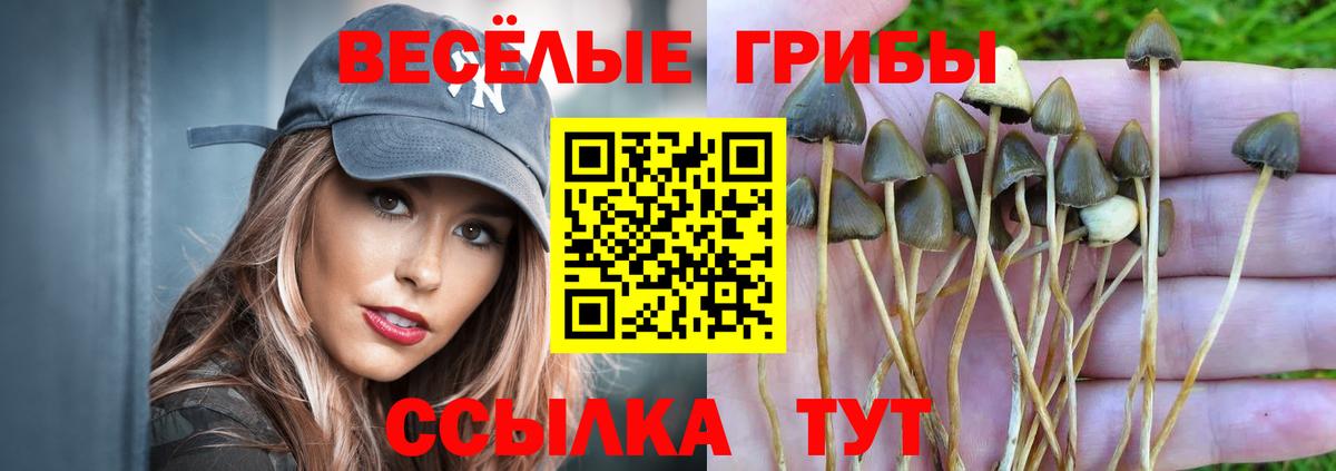 Псилоцибиновые грибы GOLDEN TEACHER  Вход с VPN  Армавир 